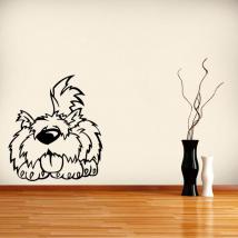 Carino pet vinile decorativo