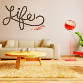 Vita di vinile è avventura
