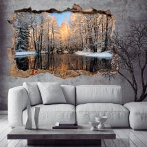 Vinile 3D lago in inverno