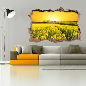 Vinile 3D Fiori Prato Natura