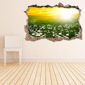 Vinile parete 3D fiori margherite bianche