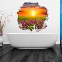 Vinyl tramonto 3D nel campo