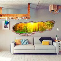 Raggi 3D vinile del sole in natura