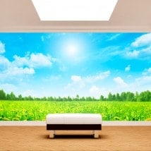Natura fiori di foto parete murales