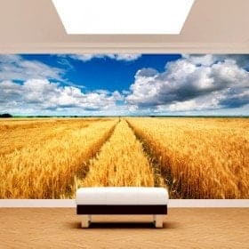 Perni di natura foto parete murales