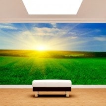 Fotomurali sole all'orizzonte
