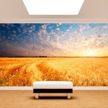 Foto tramonti di murales muro nel campo