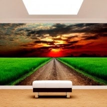 Fotomurali per autostrada nel campo