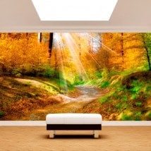 Fotomurali sentiero nella natura