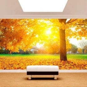 Foto muro murales gli alberi in autunno