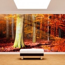 Autunno alberi Fotomural