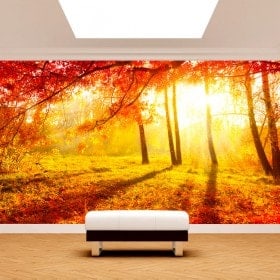 Rosso di alberi Fotomural foglie d'autunno