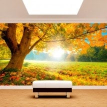 Fotomural albero nel campo