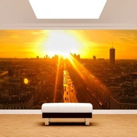 Fotomurali Parigi al tramonto