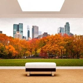 Fotomurali parete Central Park New York
