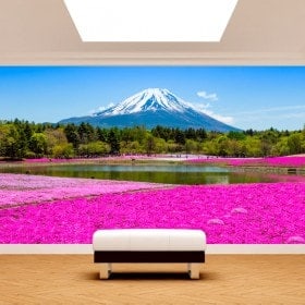 Foto muro murales Fiori Rose giardini Monte Fuji