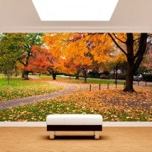Fotomurali Park di Boston