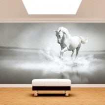 Fotomural. cavallo bianco