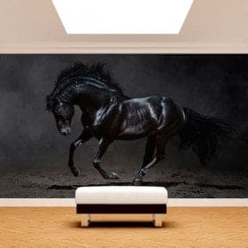 Fotomural nero cavallo