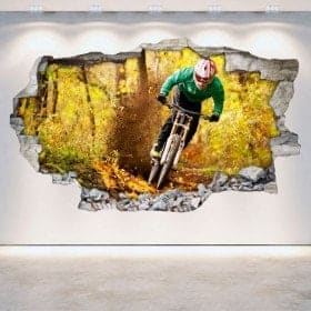 Vinile di parete-rotta di Mountain Bike 3D