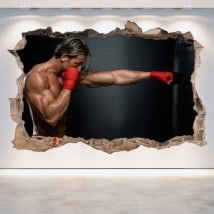Vinile parete-rotta 3D boxing