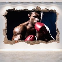 Boxing 3D vinile