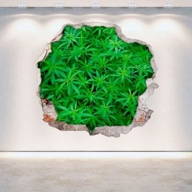 Parete 3D del foro di marijuana di vinile