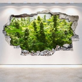 Cannabis di vinile 3D muro rotto