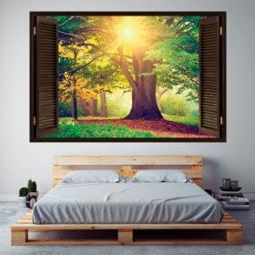 Albero 3D nella finestra foresta