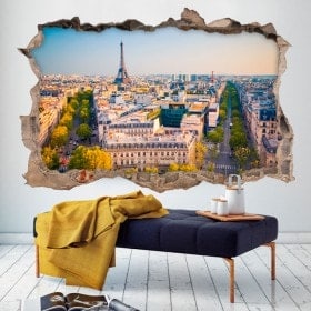 Parete in vinile rotto Parigi