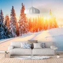 Murales fotografici di montagna dello Snowy