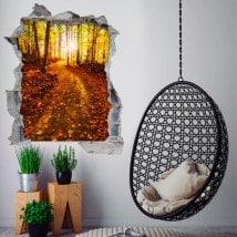 Vinile 3D raggi del sole nella foresta