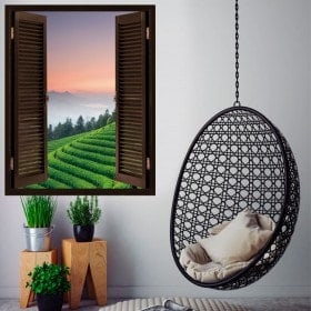 Finestre in vinile 3D piantagioni di tè