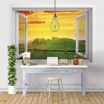 Windows in vinyl tramonto India 3D nel campo