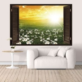 Vinyl tramonto 3D di windows nel campo