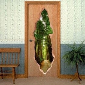 Porte di vinile 3D Parco Nazionale Redwood