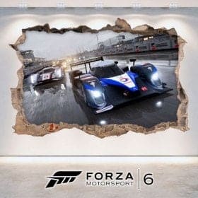 Vinile 3D Forza Motorsport 6