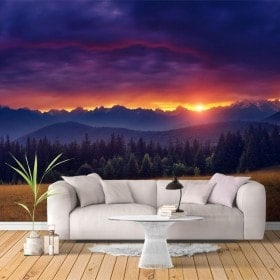 Fotomurali Tramonto natura