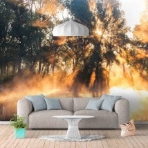 Raggi di murales muro di foto di sole sul fiume