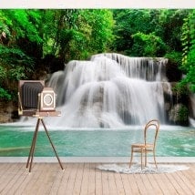Natura di Cascate di foto parete murales