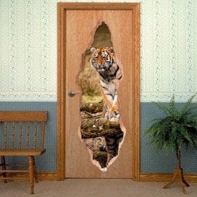 Tigre siberiana porte per vinili