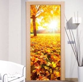 Vinile per porte al tramonto nel parco