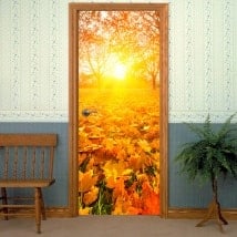 Vinile per porte al tramonto in autunno