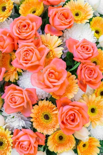 Vinili e adesivi porta rose e fiori Rose e fiori