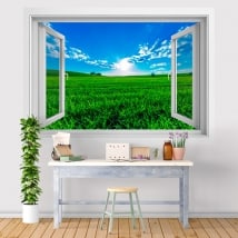 Vinile tramonto nel campo 3D