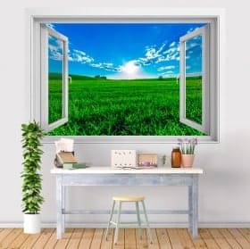 Vinile tramonto nel campo 3D