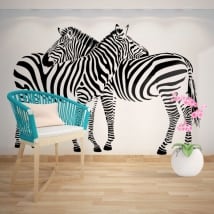 Vinile decorativo muri zebre