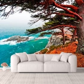 Murales albero di cedro Rocky Island