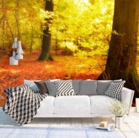 Adesivi pareti alberi nella foresta d'autunno