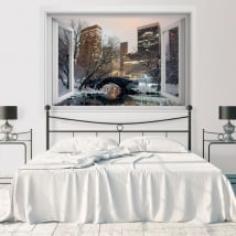 Vinili finestra Central Park New York 3D